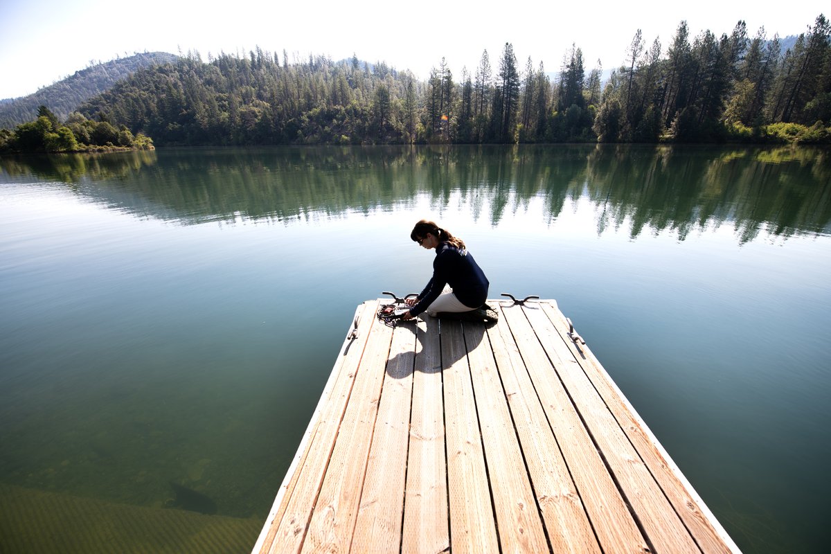 ReclamationCGB's tweet image. Invasive Golden Mussels are a new threat to waterways in California. Just down from Reclamation’s Trinity Dam, @CaliforniaDFW staff tests the water to see if it could host mussels. Other tests indicated mussels were not found at this time.
Learn more: ow.ly/LVA150WryGB