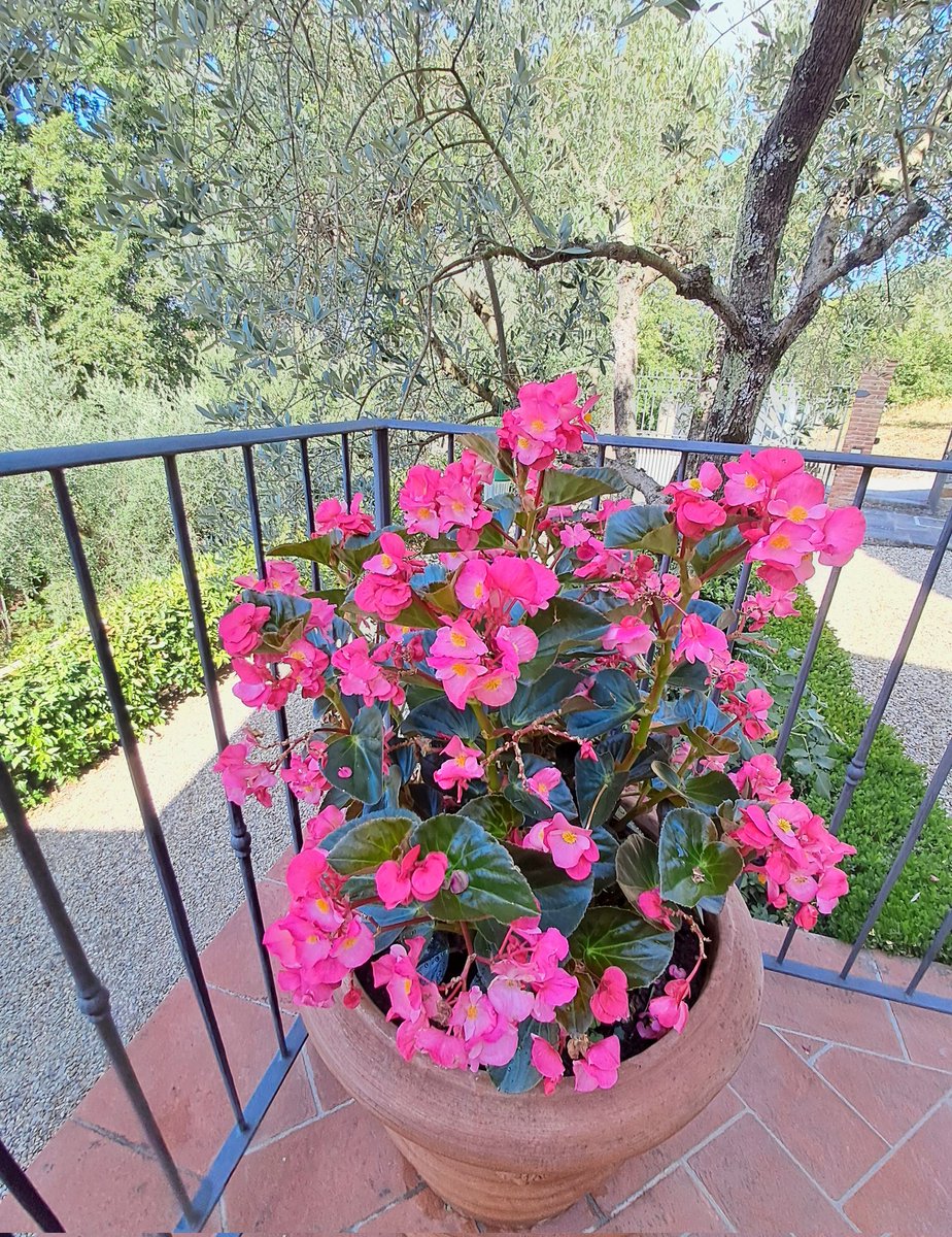 📸By me🌸🌸🌸