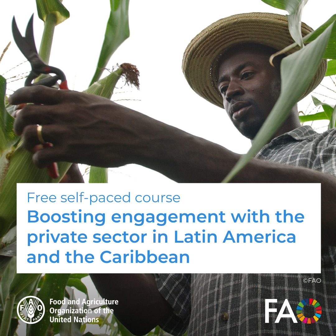 FAOCaribbean's tweet image. 🎓FREE online course!
🤝Boosting engagement with the private sector in Latin America and the Caribbean
Want to work better with the private sector?
Boost your skills to build stronger partnerships for sustainable development.
Start now 👉 ow.ly/zr2T50VAnq3