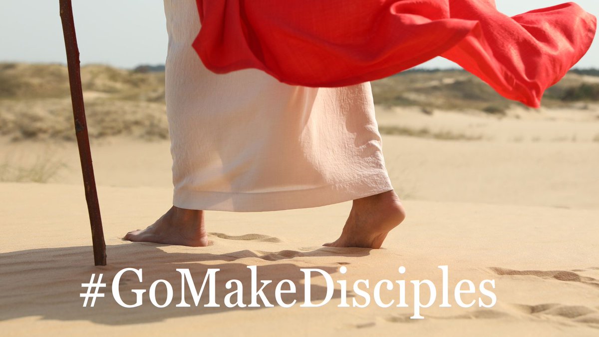 archindy's tweet image. 🌟 Congratulations to the 2025 Catechesis for Discipleship Award recipients! 🌟“These catechists bring others not just to knowledge of Christ—but into friendship with Him.” – Ute Eble 🙏📖
Thank you for your faithful witness! Read more ow.ly/SJms50Wtkx2 #GoMakeDisciples
