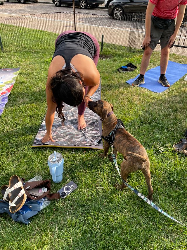 BufWaterfront's tweet image. Puppies and yoga, what could be better?!
On Sunday, August 17th, join us at the Dog Days of Summer event at Canalside and get zen with some furry friends.
Tickets for puppy yoga can be purchased here: buffalowaterfront.com/events/dog-day…
Puppy Yoga is presented by @BCBSWNY