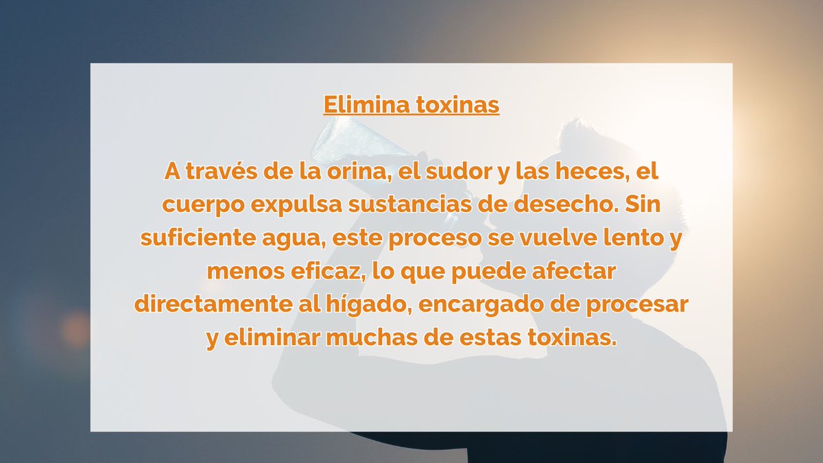 fneth_org's tweet image. 🚰 Hidratación y salud hepática
❗Importancia
👉 Funciones vitales del agua en nuestro organismo