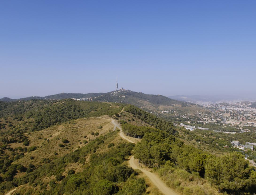 TMB_Barcelona's tweet image. 🚶🌳Rutes de senderisme a #Barcelona: descobreix els racons naturals de la ciutat.
A menys d'una hora de la ciutat, es poden trobar rutes increïbles que et connecten amb la natura i et permeten gaudir de vistes espectaculars.
🗺️#HolaBarcelona t’hi porta 👉ow.ly/ZMWM50VuATN