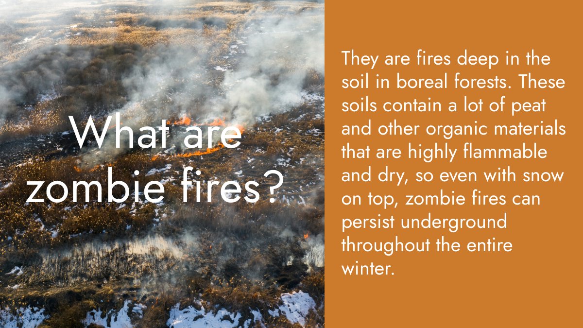 ArcticCouncil's tweet image. Zombie fires are just as eerie as they sound, and they're one reason why wildfires in the Arctic are so different than elsewhere 🔥🧟
🎧 Listen to our latest podcast episode “The Arctic on Fire” to learn more about the topic 👇
pod.link/1822773340