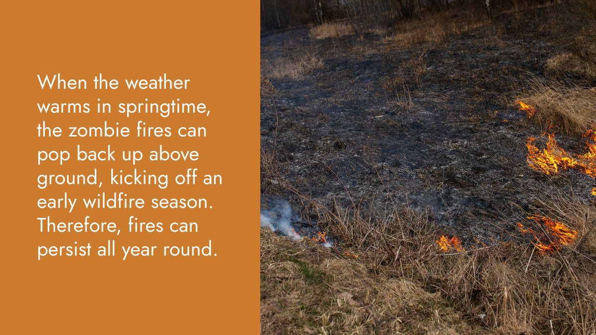 ArcticCouncil's tweet image. Zombie fires are just as eerie as they sound, and they're one reason why wildfires in the Arctic are so different than elsewhere 🔥🧟
🎧 Listen to our latest podcast episode “The Arctic on Fire” to learn more about the topic 👇
pod.link/1822773340