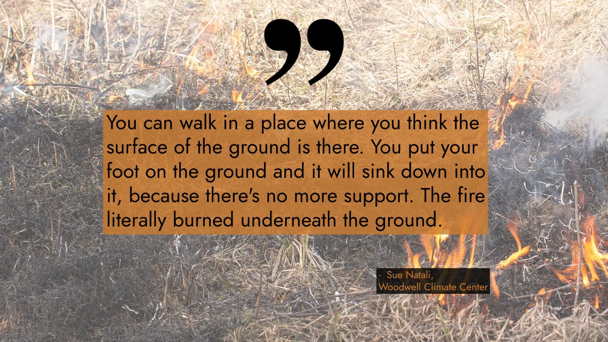 ArcticCouncil's tweet image. Zombie fires are just as eerie as they sound, and they're one reason why wildfires in the Arctic are so different than elsewhere 🔥🧟
🎧 Listen to our latest podcast episode “The Arctic on Fire” to learn more about the topic 👇
pod.link/1822773340