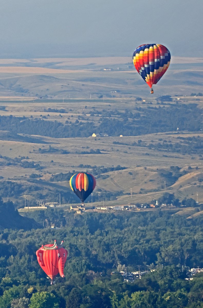 BobZellarPhoto's tweet image. Balloon rally in Billings Montana this morning