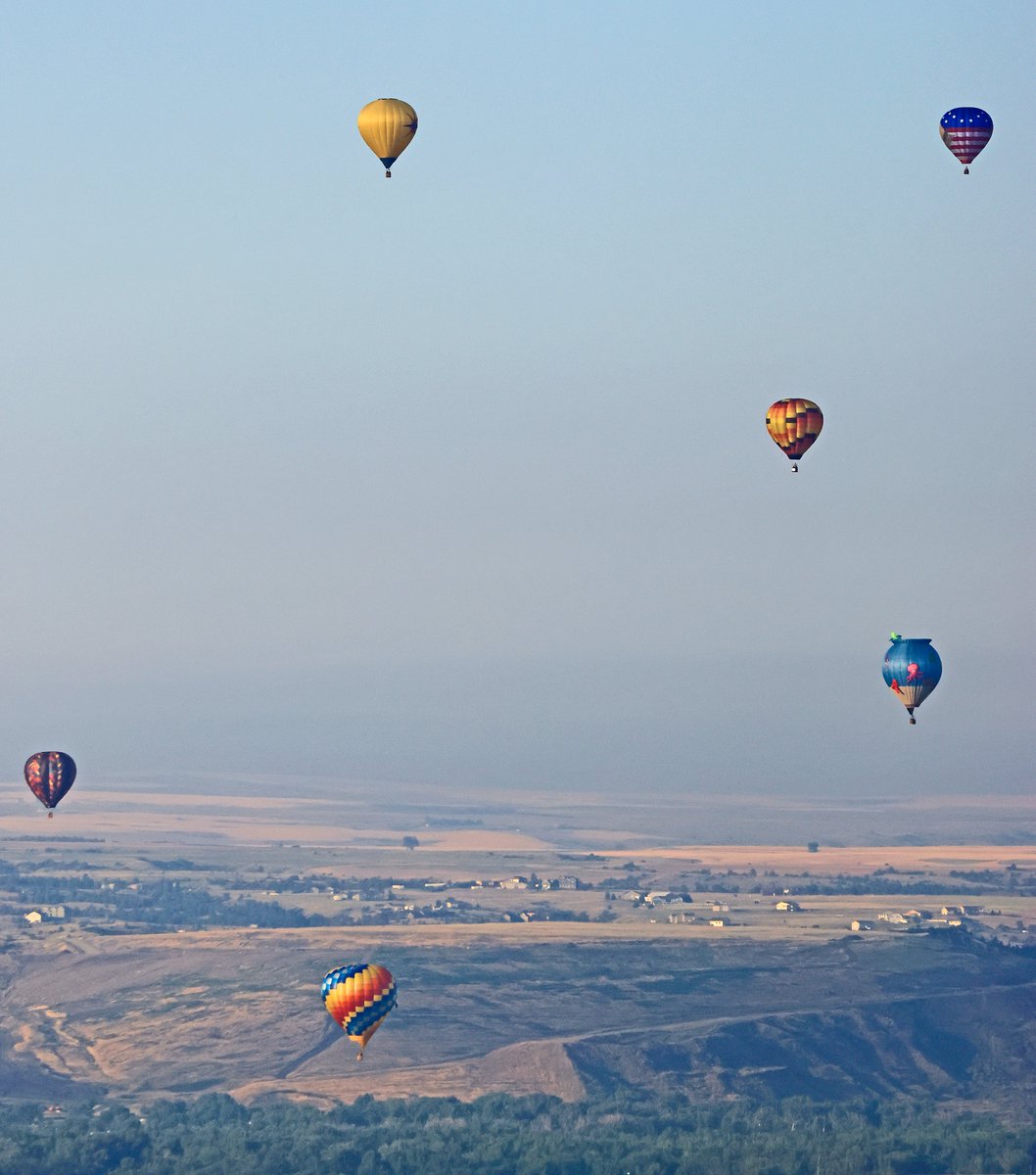 BobZellarPhoto's tweet image. Balloon rally in Billings Montana this morning