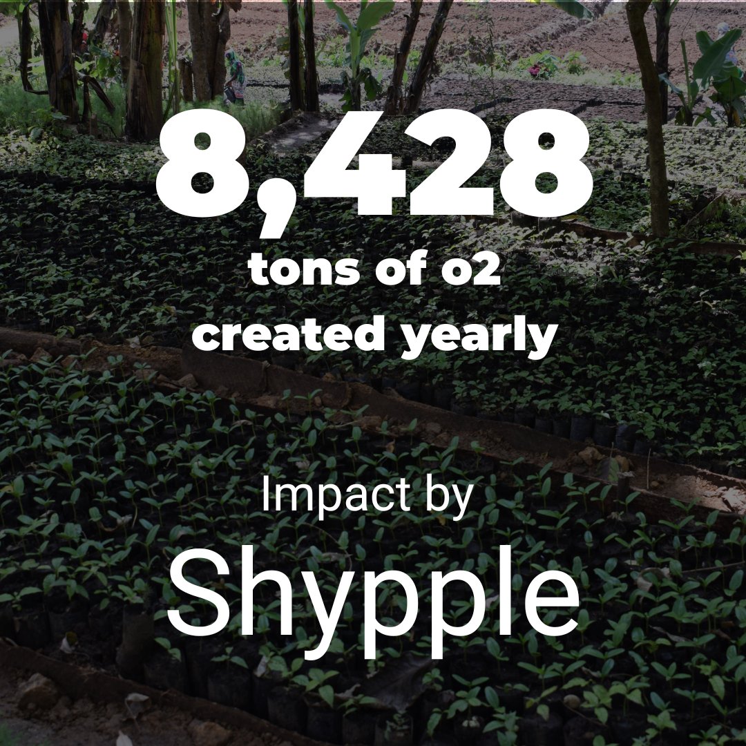 Thanks to their tree-planting initiative, <a href="/shypple1/">Shypple</a>  isn’t just talking sustainability, they’re delivering it. Each tree planted helps absorb CO₂, purify the air, and release clean oxygen into our atmosphere

#BusinessForGood #TreePlanting #OxygenMakers #CorporateResponsibility