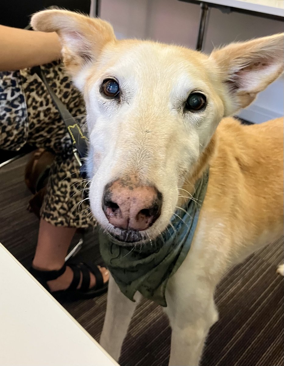 Toffee Factory tweet media