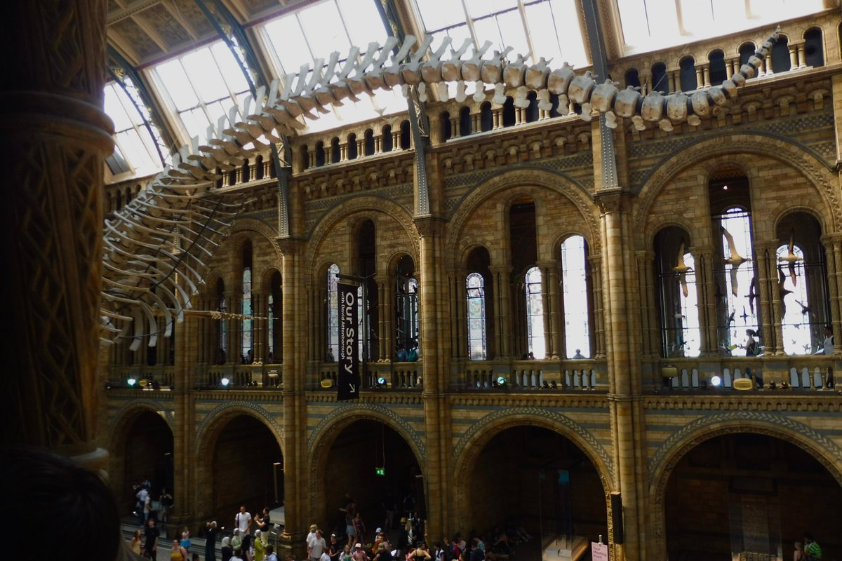 Huge congratulations to our Year 4 scientists! They earned a Natural History Museum accredited Diploma in Earthquakes and Volcanoes after an amazing workshop packed with scientific experiments.