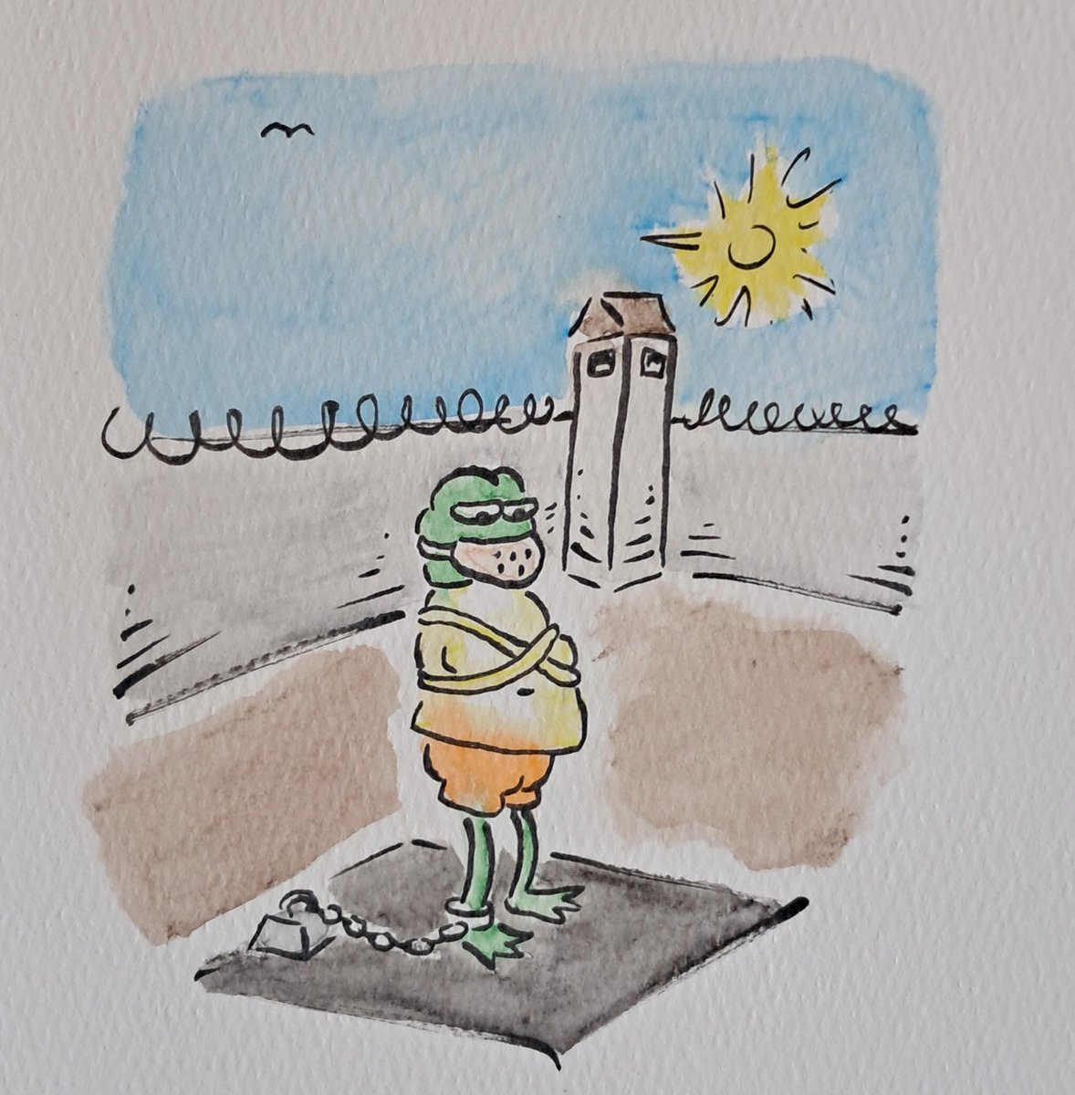 C_Based_Fren's tweet image. GM!  I hope you get some fresh air today!