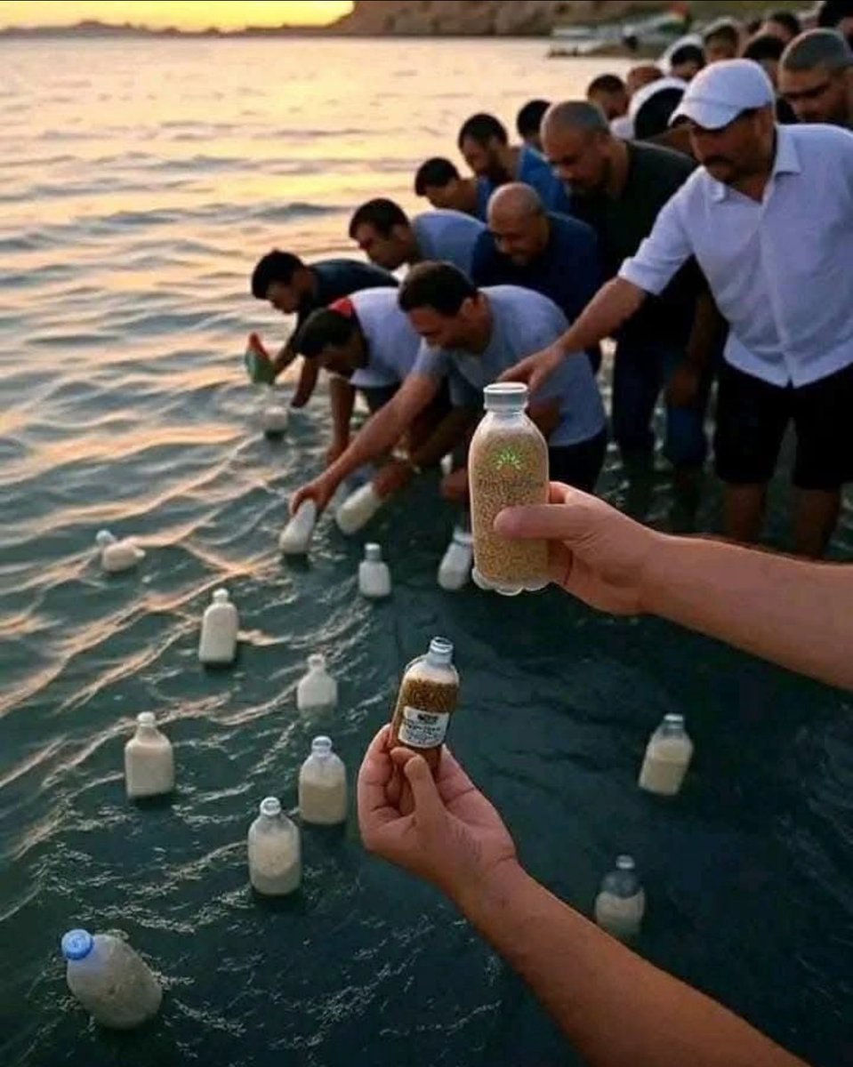 PositiveActionH's tweet image. A child in Egypt filled a bottle with rice and floated it toward Gaza.
Somehow, it reached a starving family.
One child, trying to feed another.
This quiet act of defiance and care—now caught on camera—says more than any speech.
Let the child inside you remember what’s…