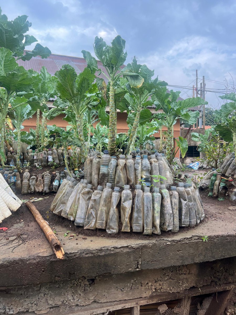 Katumwesigye Ashley tweet media