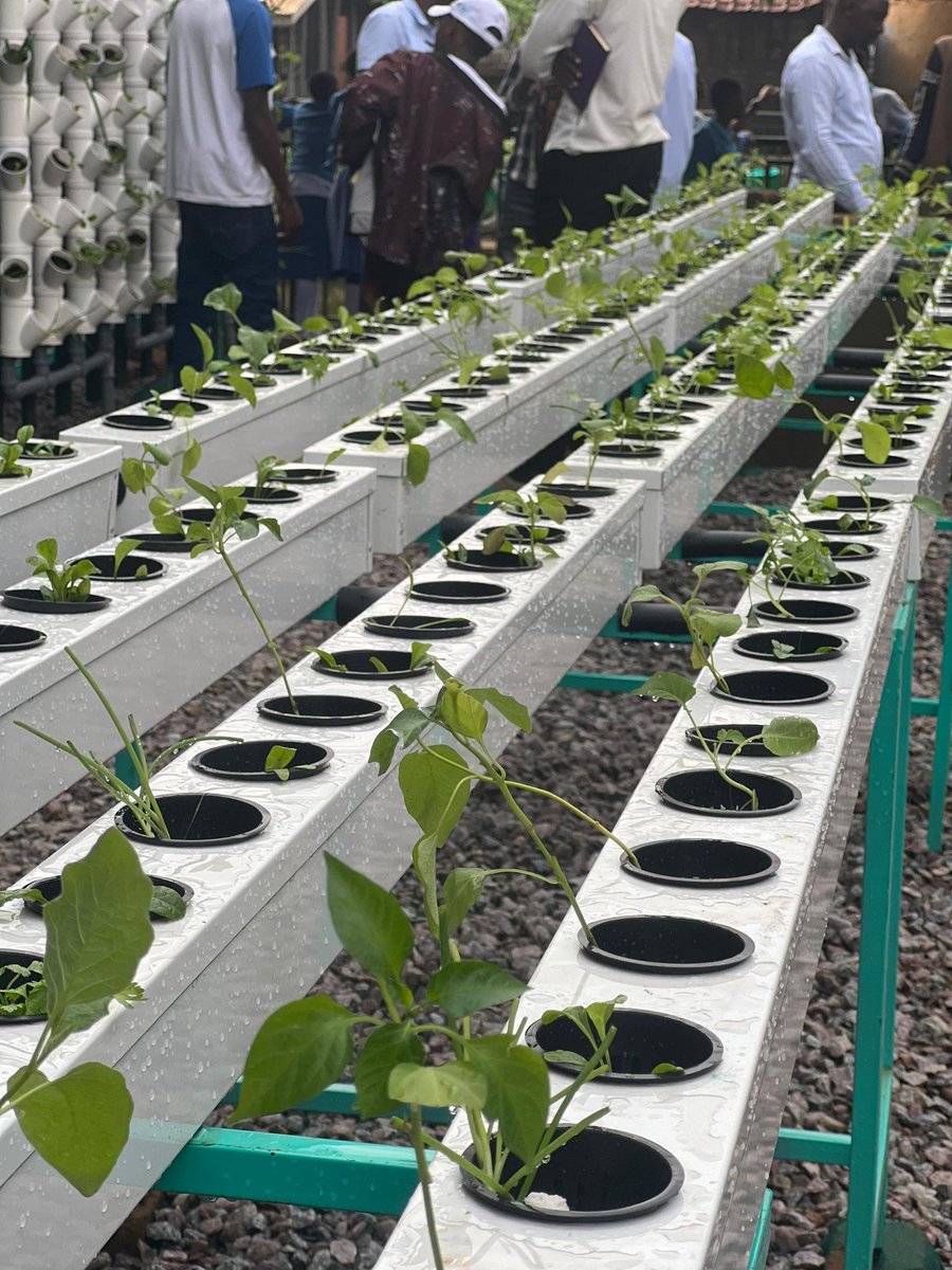 Transforming Waste into Wealth 🌟Let's shift from destruction to abundance. Discover innovative projects that turn waste into wonder eg briquette making, fishery fed by recycled waste, artifacts from plastics,hydroponic system. <a href="/stkizitoschools/">St. Kizito Schools Namugongo</a> <a href="/Fridays4FutureU/">Fridays For Future Uganda</a>
 #ClimateAction.