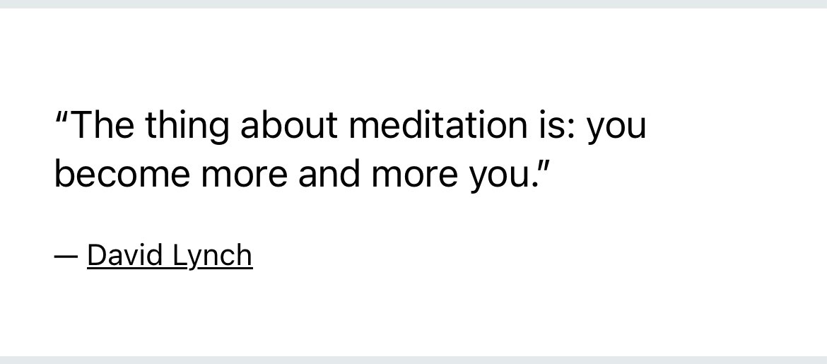 David Lynch 🫶 is our mentor and founder, and it's a thrill to continue his mission around the world, inspiring meditation, creativity, and peace <a href="/FundDavidLynch/">Fund. David Lynch AL</a> #DavidLynch #RajaLuis