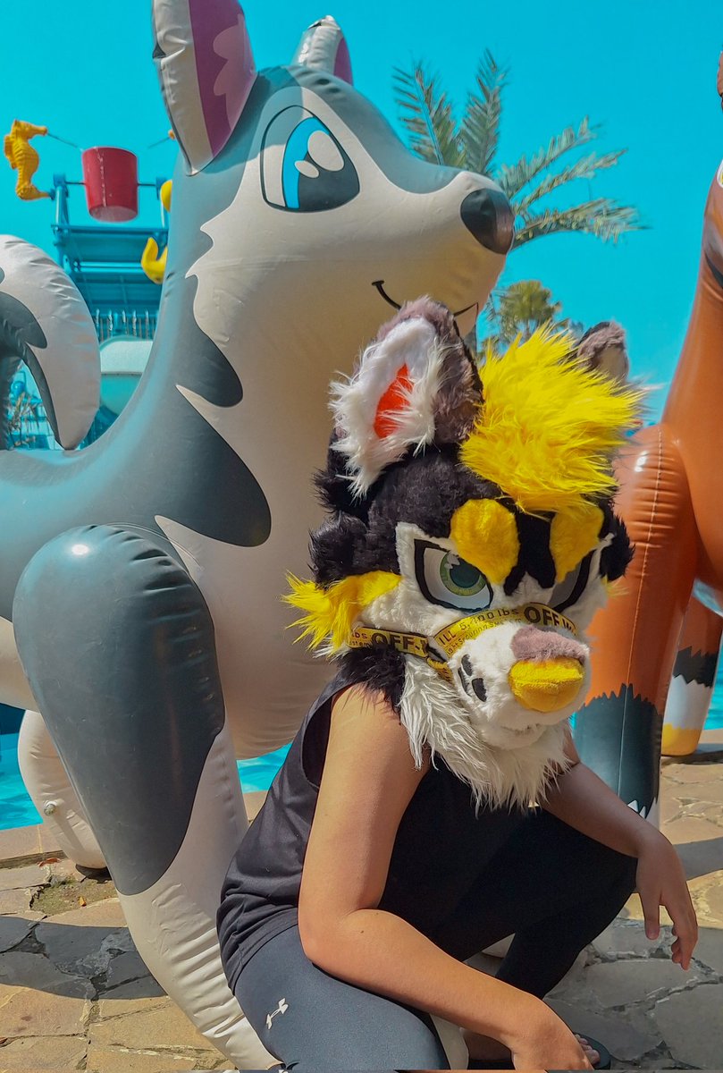 REORENADE's tweet image. Two huskies for the summer
One of them bites tho I'm not really sure which one is
