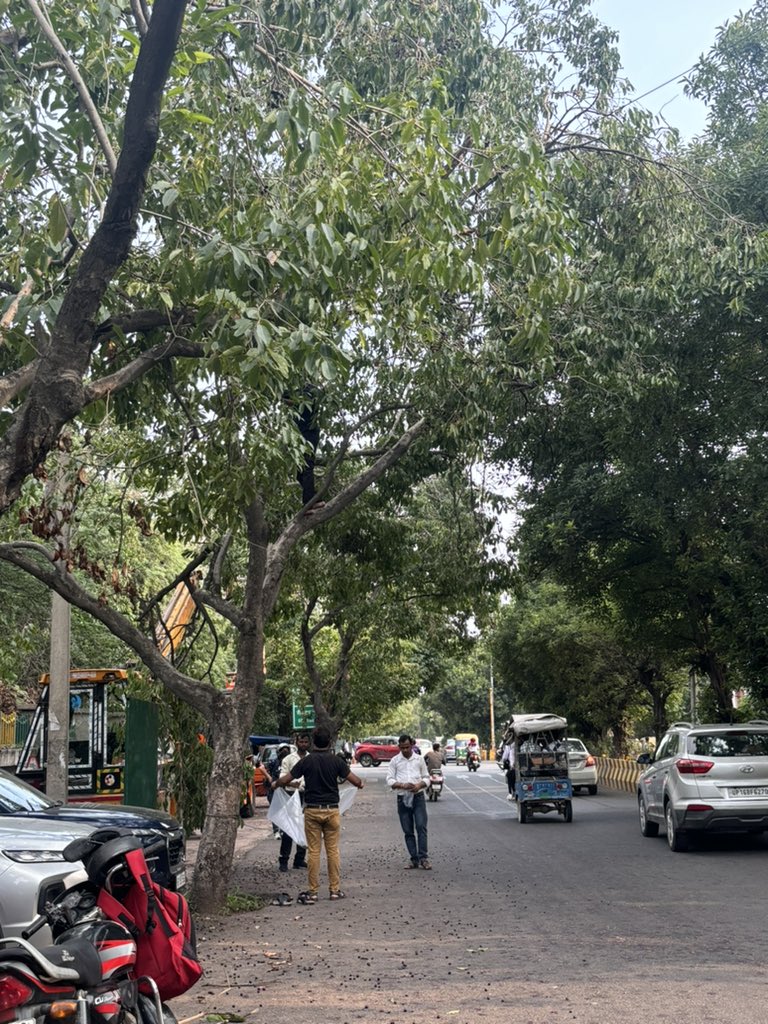 नोएडा में जामुन वाली सड़क कौन सी है. ??
<a href="/noida_authority/">NOIDA Authority</a> <a href="/CeoNoida/">CEO, NOIDA Authority</a> <a href="/Noida7x/">Noida की 7X Welfare टीम</a>