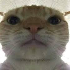 Hala_CG's tweet image. i am not a woman