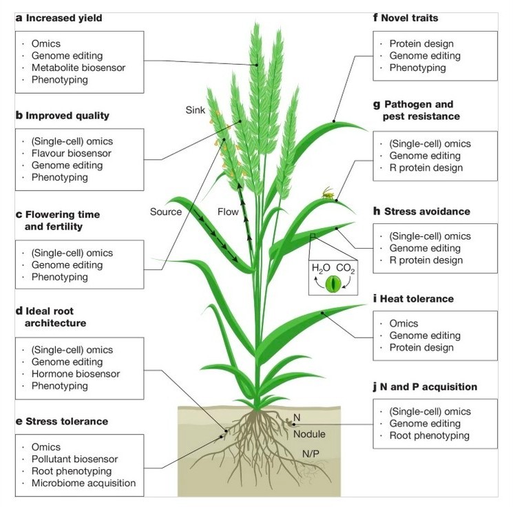 Review👉Published: 23 July 2025
🧬🧩🌾🔬👨‍🎓📤💚🧑‍🌾📈🍞
➡️Integrated biotechnological and AI innovations for crop improvement
➡️ nature.com/articles/s4158…
➡️ #genomeediting #dataintegration #omics
#resistance #Genomics #NGTs #plantphysiology
➡️ #plantbreeding #plantpathology #AI #ML