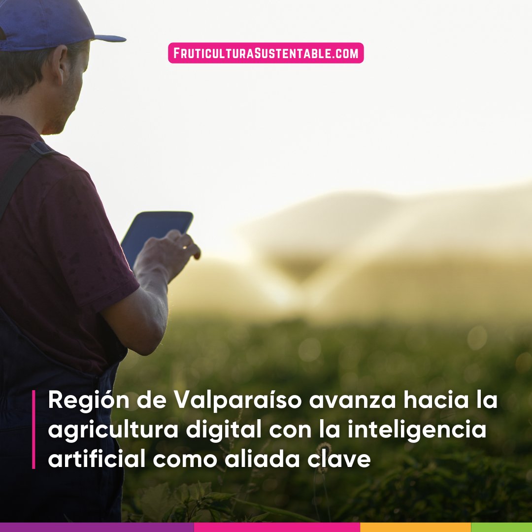🌱 #Innovación | Región de Valparaíso avanza hacia la agricultura digital con la inteligencia artificial como aliada clave

Más información: reporteagricola.cl/noticia/notici…