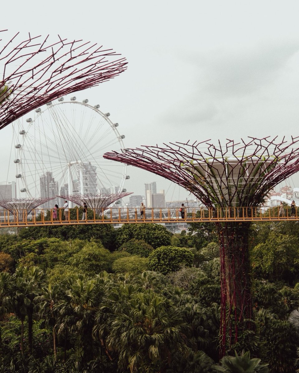 paramveer_'s tweet photo. Gardens by the Bay is one of those places that actually lives up to the hype.
You walk in, and suddenly you’re surrounded by giant glowing trees, waterfalls inside glass domes, and flowers from every corner of the world. https://t.co/W1Ougez2or