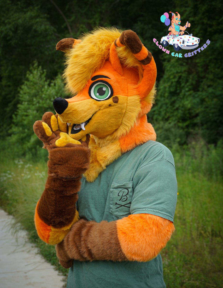 ClownCarCritter's tweet image. For #ThrowbackThursday here's an adorable Fox i made back in 2023! 🦊
Absolutely love the colors on this guy 🧡
linktr.ee/ClownCarCritte…
#fursuit #fursuitmaker #furry #furryfandom #clowncarcritters #commission #commissionsopen