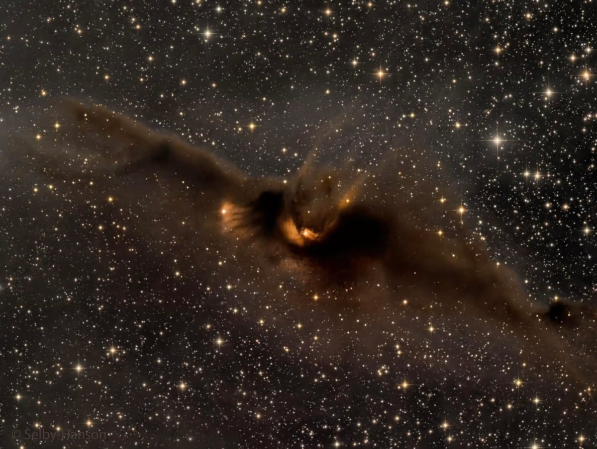 AstronomyPosts's tweet photo. The Bat Nebula, 500 light years away from Earth! 🦇 https://t.co/ot43iS2OjV