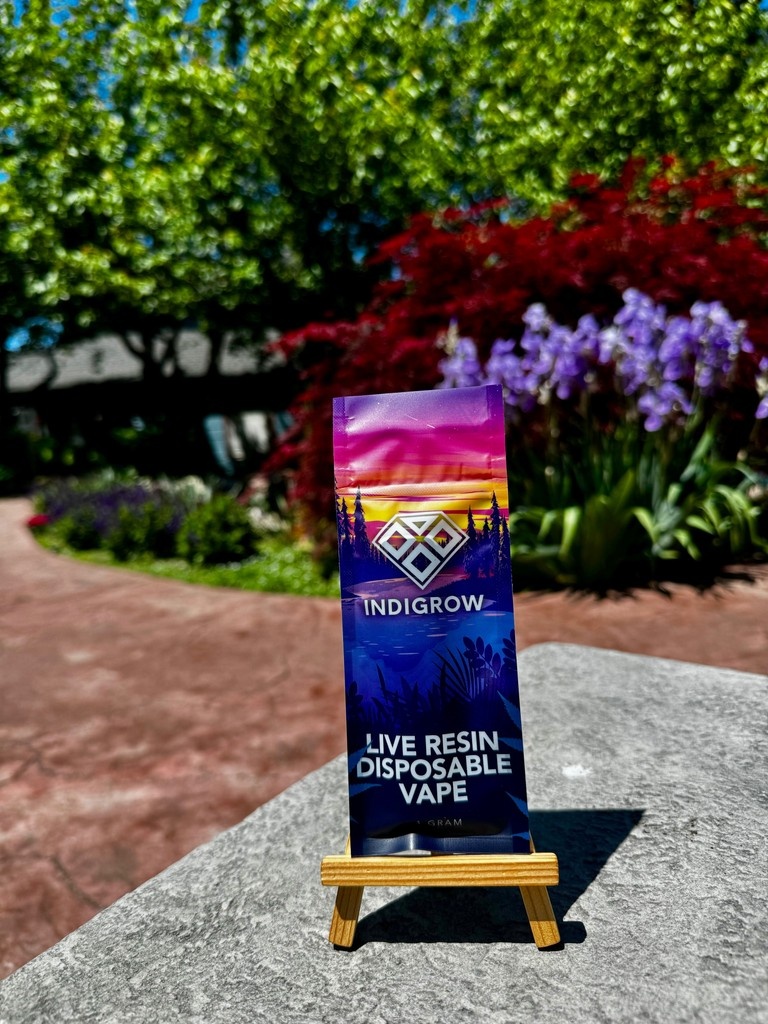 Indigrowmi's tweet photo. 🌍 Wherever you go, bring quality with you—and make sure it’s consciously crafted.

We’re committed to sourcing sustainable packaging whenever possible because we believe every business should do their part to protect the planet. 🌱

🔥 Quality. 🌎 Responsibility. 💚 IndiGrow. https://t.co/tGpfc8buSM