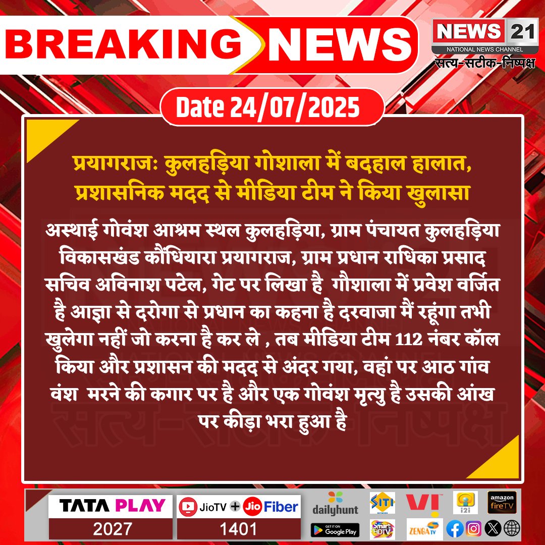 news21national's tweet photo. #Prayagraj: कुलहड़िया गोशाला में बदहाल हालात, प्रशासनिक मदद से मीडिया टीम ने किया खुलासा
#GauvanshCrisis #GaushalaCondition
#DeadCattle #BreakingNews #NewsUpdates #news21national https://t.co/3Z5YmeXC2X