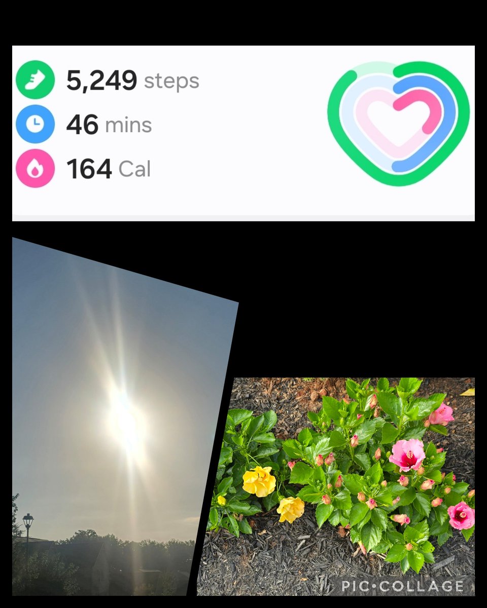 CynthiaSJewell's tweet image. Got in a few steps this morning, was able to catch the sunrise, as well as was able to see the fruits of my labor in my 🌼 🌸 garden! #FitLeaders #Joy #Grateful