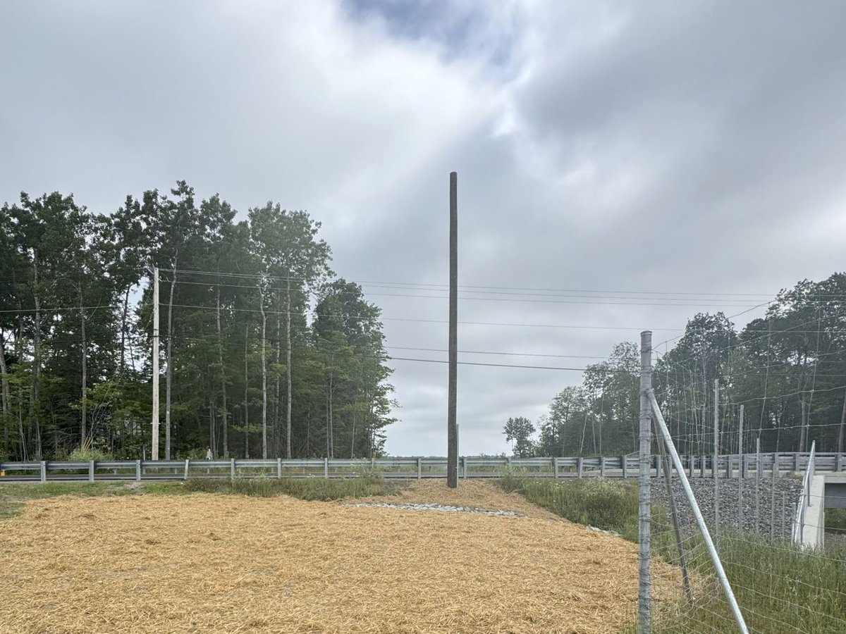 SertexUS's tweet photo. 🎉 MILESTONE MOMENT! The first pole for Maine's MOOSE Net middle mile is in the ground on Route 9 in Brewer! Thank you to our partners at Maine Connectivity and Maine DOT #MOOSENet #MaineBroadband #FiberOptic #DigitalEquity #MaineConnectivity #FiberBroadband #GetConnected https://t.co/bVWKszjNUU