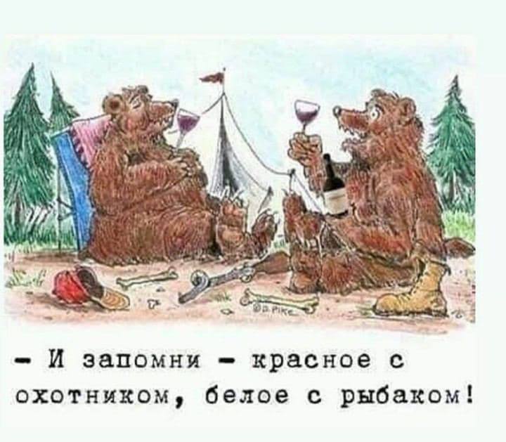 Пьяный Твиттер (@drunktwi) on Twitter photo 