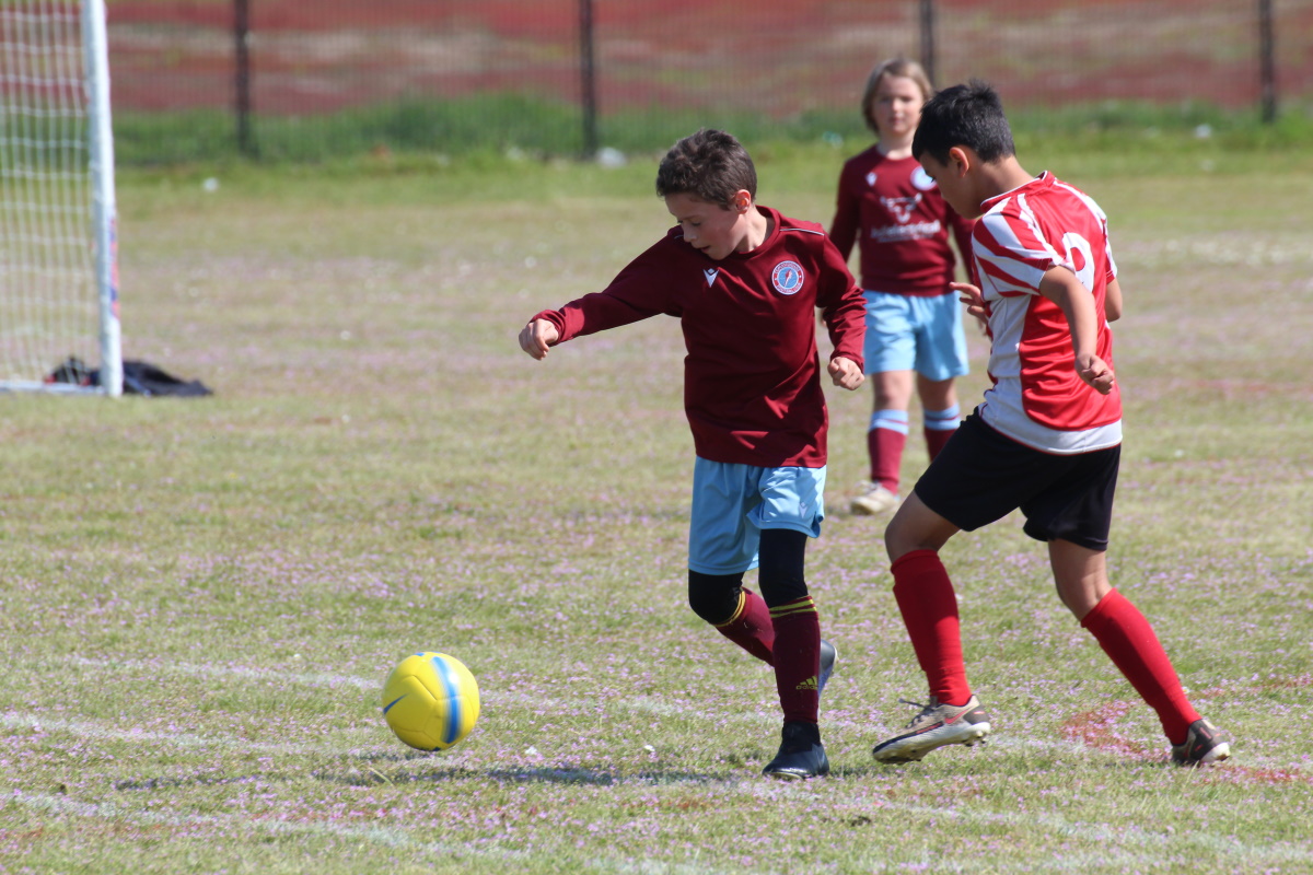 SuffolkFA's tweet image. New players required…
suffolkfa.com/leagues-and-cl…
#AThrivingLocalGame