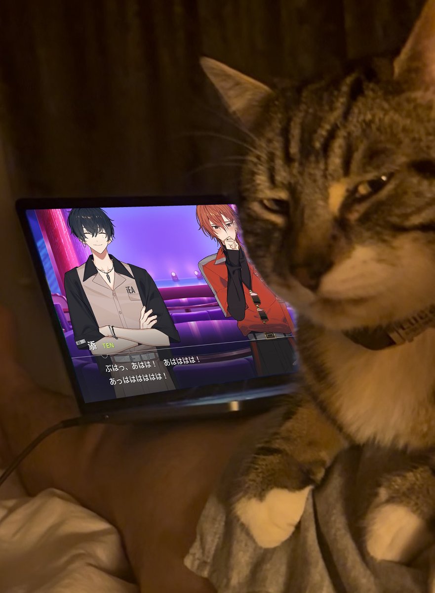 qtpie21s's tweet image. 