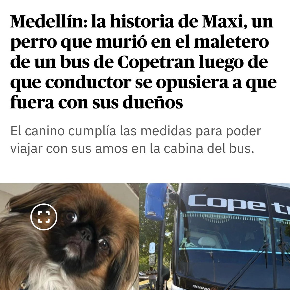 EsmeHernandezSi's tweet image. Negligencia total por parte de la empresa Copetran. Es indignante que un animal que cumplía con todos los protocolos fuera obligado por el conductor a viajar en el maletero del bus. Los animales no son cosas, son seres sintientes y la ley los protege.
También le pido a las…
