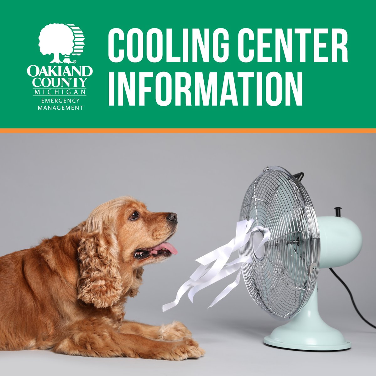 OakGovEM's tweet image. Beat the Heat today at a Cooling Center near you in #OaklandCounty ow.ly/CsOf50WuHK0