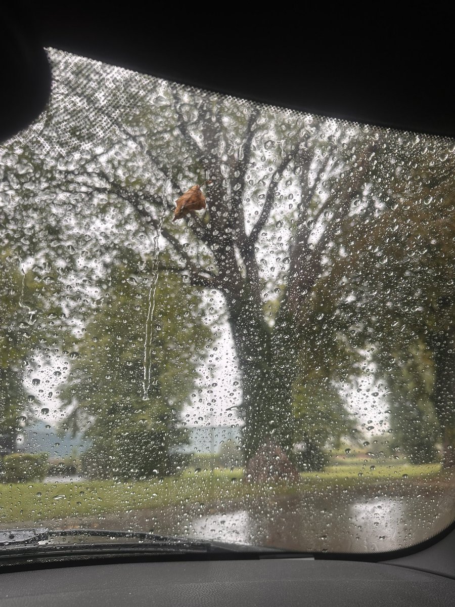 GabrielDMorris's tweet image. The rain returns