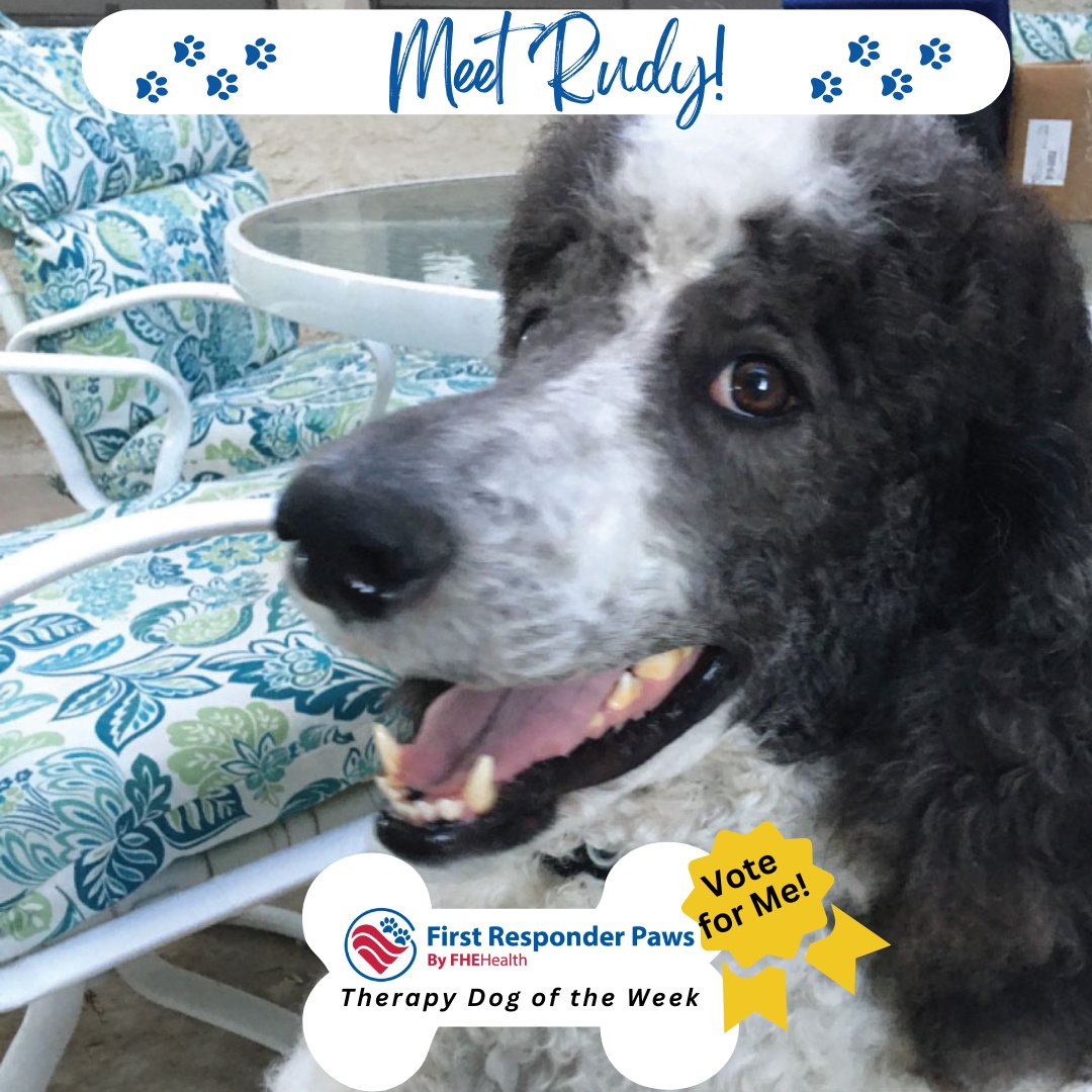🐕Meet Rudy, our #FirstResponderPaws #TherapyDog of the Week! Rudy works w/<a href="/LAPDHQ/">LAPD HQ</a>, Blue Line Dogs &amp; other #lawenforcement orgs. He's spent many hours at the #LA Emergency Command Ctrs. provding support after recent fires. fherehab.com/first-responde… <a href="/Chewy/">Chewy</a> <a href="/OscarTherapyDog/">first_responders_pack</a>