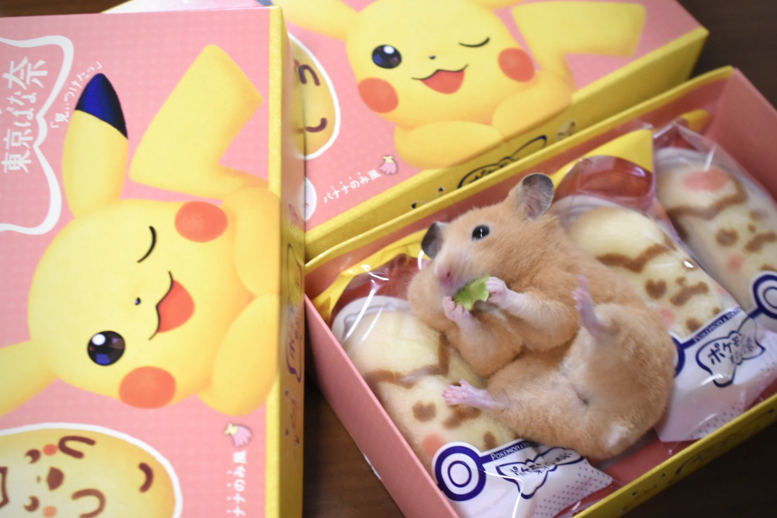 専用ページ-` ̗ ❤︎   ̖ ´- ZX (@zx_hamster) / X