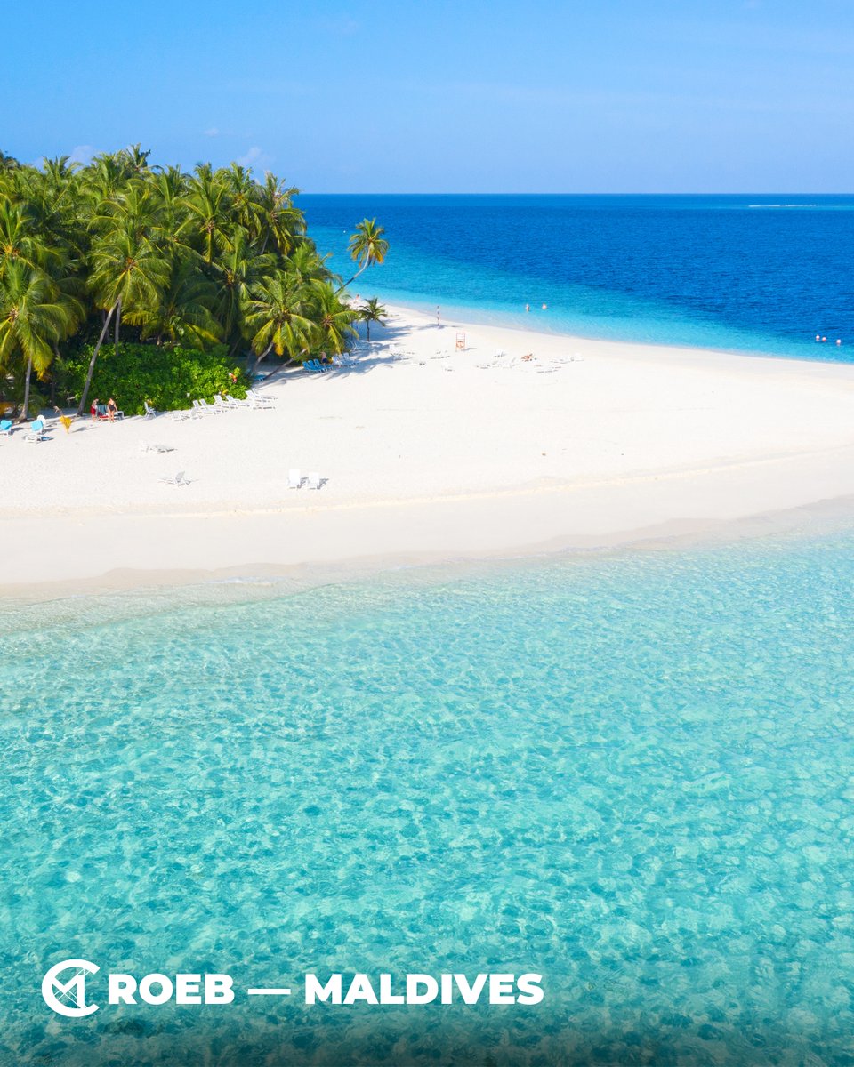cmroeb's tweet image. 🐠 BRB, currently living my best mermaid life in the Maldives. 🧜♀️🌊
🍽️ Food in the Maldives — 💡 Pro Tip: Try Maldivian Cuisine! Enjoy fresh seafood, mas huni (tuna & coconut breakfast), and local curries for an authentic taste. #MaldivesFood #IslandEats #SeafoodLovers