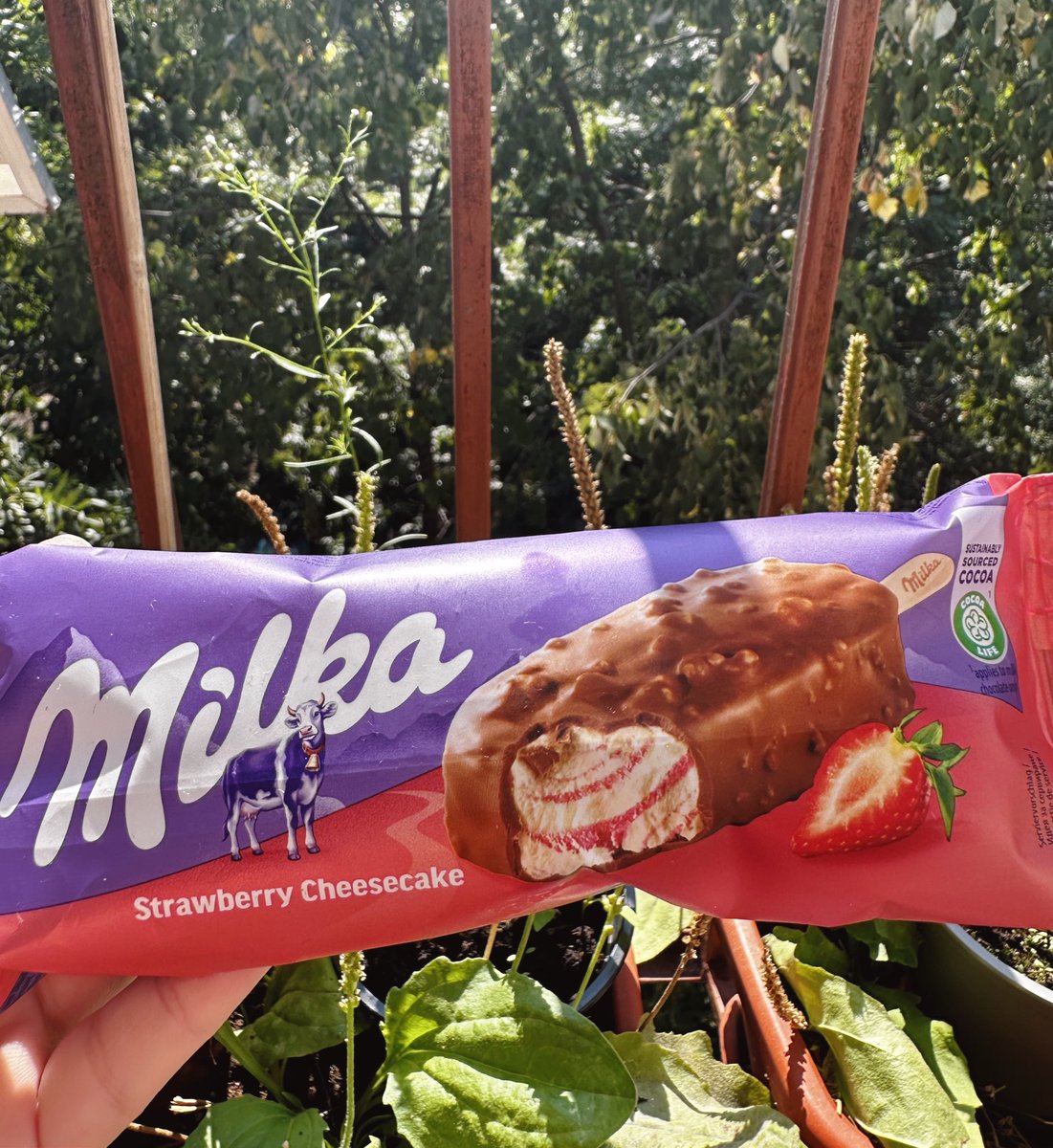 forestcharms's tweet image. It’s crazy hot here so time for some ice cream!!