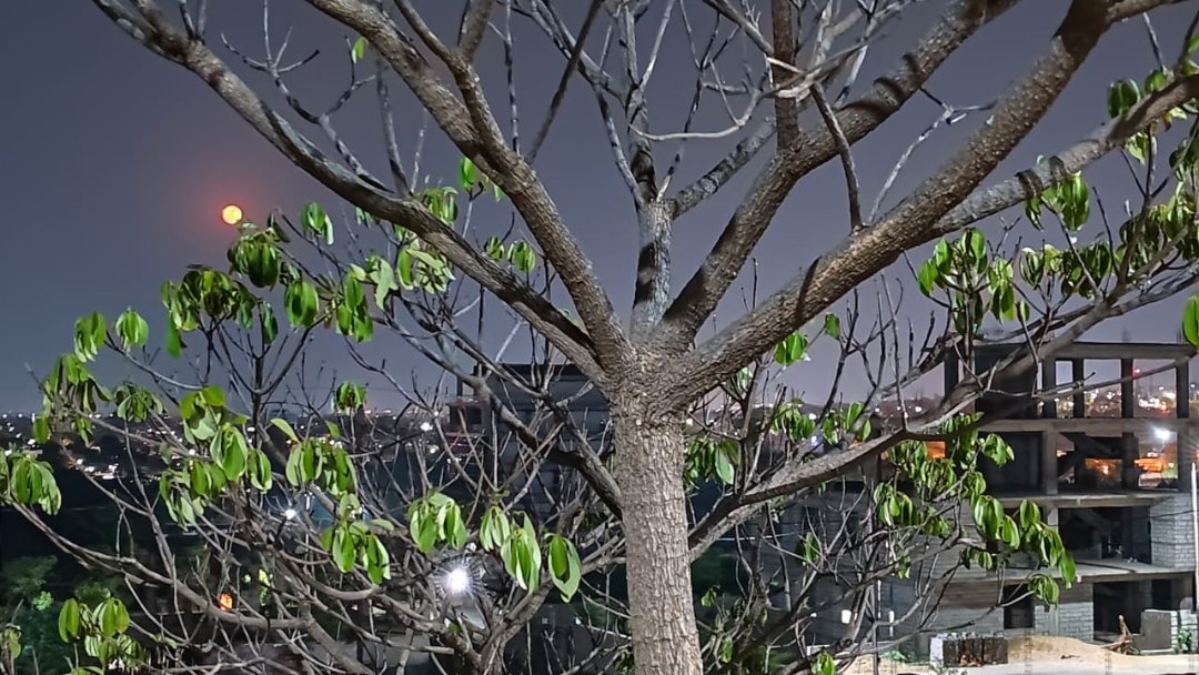 आप 100% कोशिश संघर्ष और परिश्रम के बाद आपको सफलता ना मिले तो आप मौन रहिए 
मौन जीवन में अभिमान नहीं #स्वाभिमान लाता हैं।