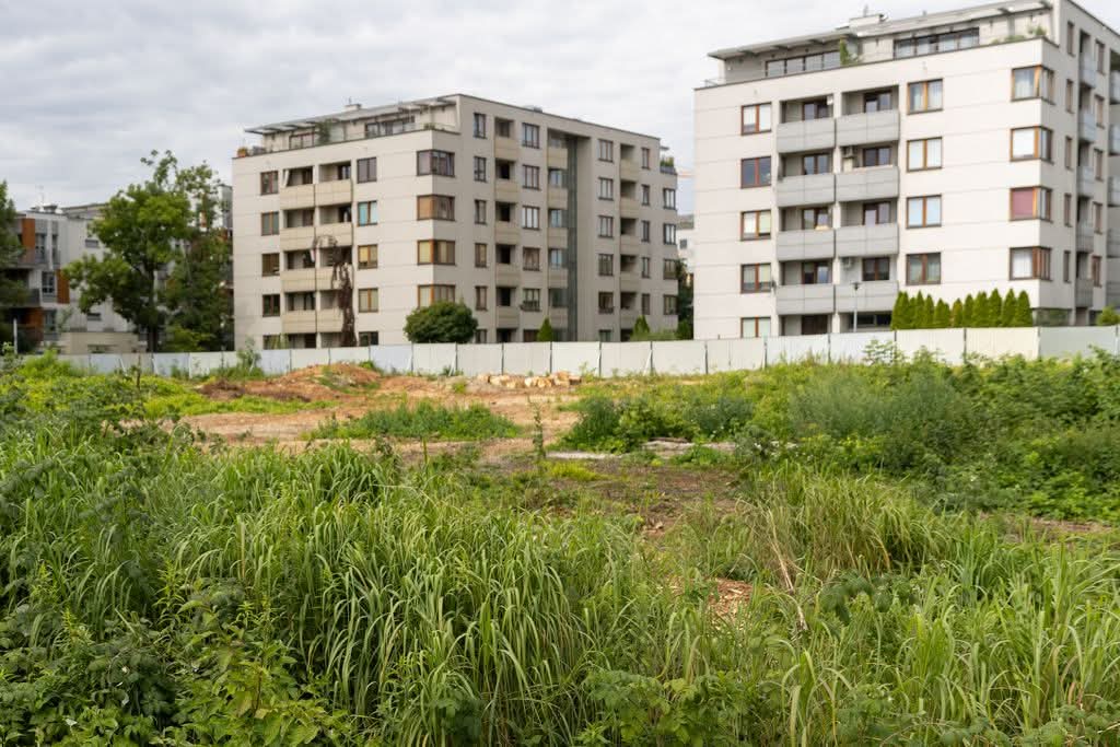 Miszalski_'s tweet image. Na początku lipca skontaktowali się ze mną zaniepokojeni mieszkańcy ul. Lema i ul. Dąbskiej z informacją, że na pobliskiej działce prowadzona jest masowa i najprawdopodobniej nielegalna wycinka.
Od razu poprosiłem Wydział Środowiska, Klimatu i Powietrza o przeprowadzenie…