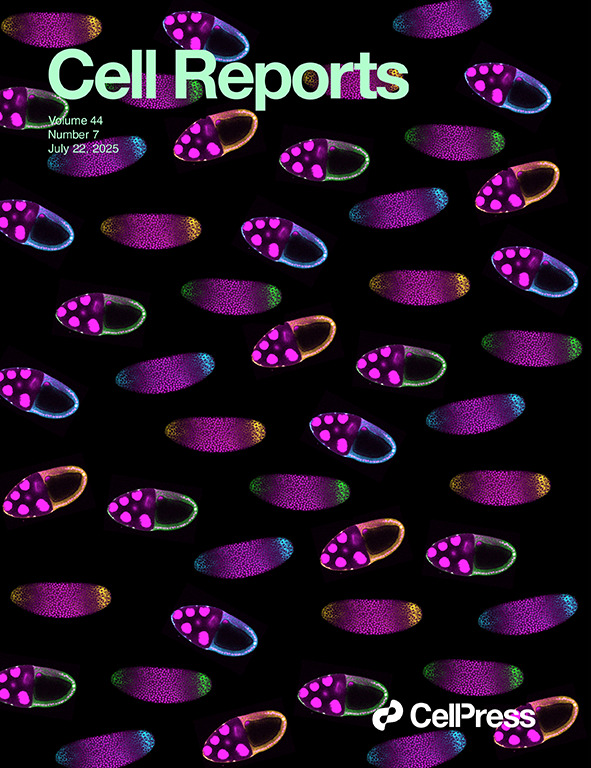 UTHealthGCCRI's tweet image. Check out the latest @CellReports paper, &quot;#IGSF10 is a #RET antagonist regulating #EwingSarcoma growth and #GnRH #neuron migration,&quot; co-authored by the Chen &amp;amp; Shiio labs!
tinyurl.com/yctdnv7j

#Kids #Cancer #Cure #Research #Hope #ChildhoodCancerResearch #PediatricCancer
