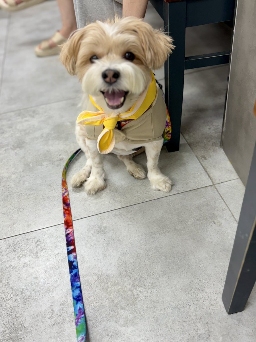 나가면 이렇게 좋아하면서!
<a href="/Yellowtriangle_/">Yellow triangle</a>  쿨스카프 매듭 두 번 매니까 캐빈크루 같고 귀엽다 아주 상냥하고 사근사근하고 마이페이스인 캐빈크루 어떠신가요 :3