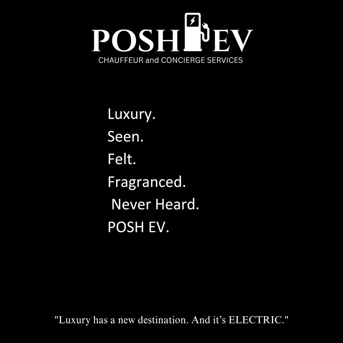 POSHEVLLC's tweet photo. #POSHEV #LuxuryHasANewDestination #ATLLuxury #ATLChauffeur #ElectricLuxury #ConciergeLife #FoundersCircle #ATLLaunch #BlackOwnedLuxury #VIPPossibilities https://t.co/ZUQlE9rSsp