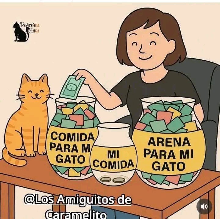 tiofelino2's tweet image. Gastos 🐱🐾