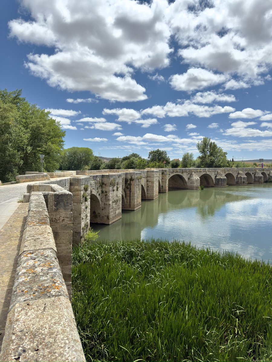 Pedro Cobo / Fotógrafo (@pedrocobo_foto) on Twitter photo Ahora en vacaciones, en alguno de vuestros paseos, idas y venidas, aprovechad para hojear el libro de #puentes (por España) de <a href="/johnygrey/">The General</a> y asomaos a algún puente que os pille cerca. Es un disfrute.
Puente sobre el #Pisuerga en #Torquemada, Palencia.
No es solo el destino, es Ahora en vacaciones, en alguno de vuestros paseos, idas y venidas, aprovechad para hojear el libro de #puentes (por España) de <a href="/johnygrey/">The General</a> y asomaos a algún puente que os pille cerca. Es un disfrute.
Puente sobre el #Pisuerga en #Torquemada, Palencia.
No es solo el destino, es