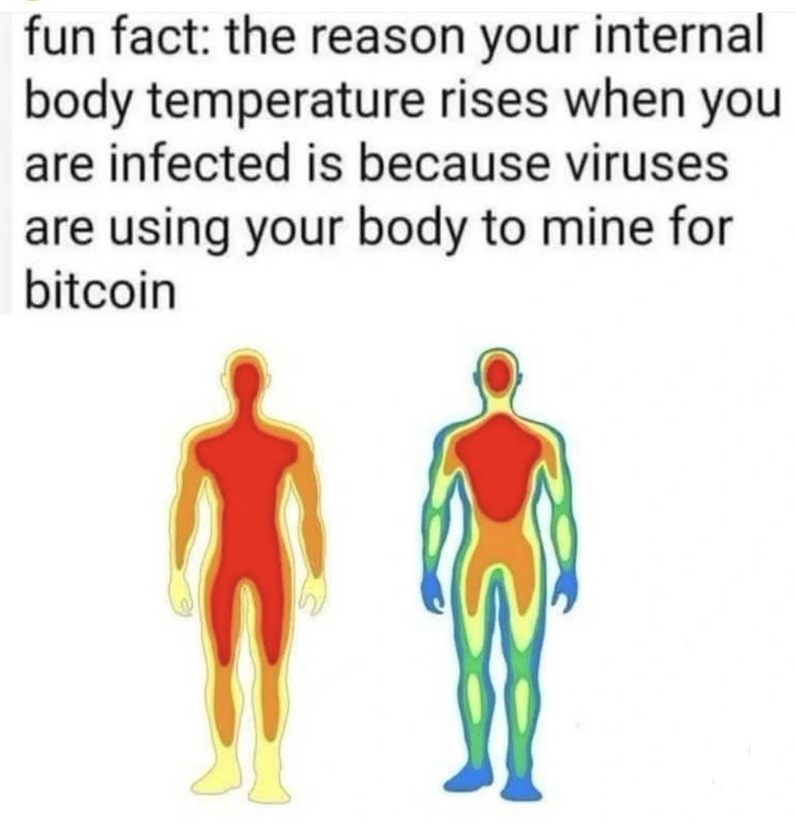 GM 🧡

Makes sense 🤒